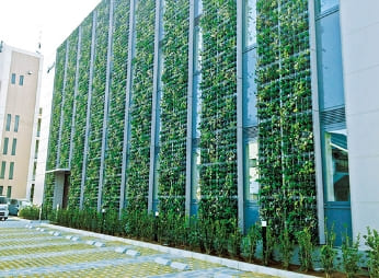壁面・屋上緑化
