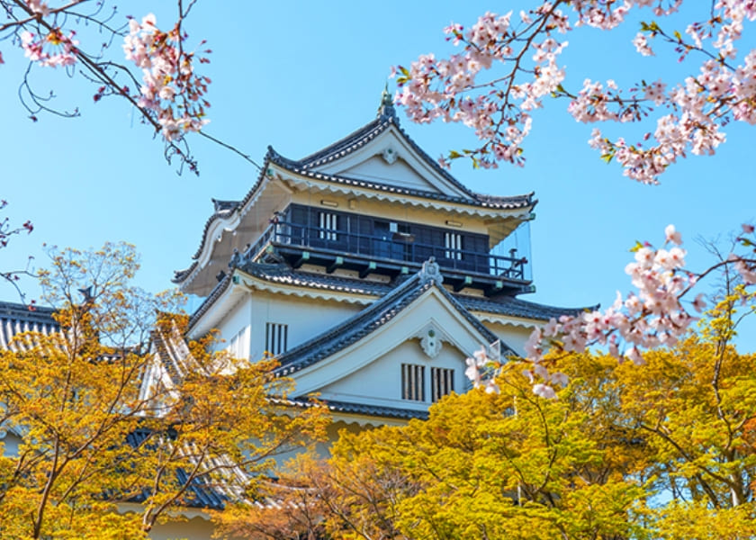 岡崎市 地元で信頼される企業